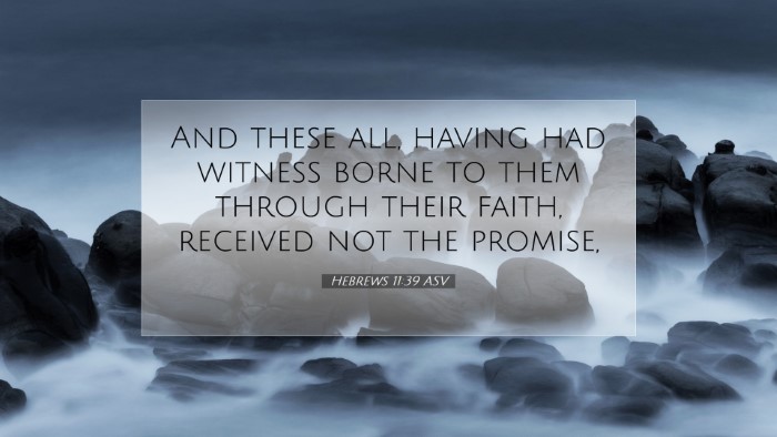 Picture 07 - Hebrews 11:39 ASV Desktop Wallpaper - And these all, having had witness borne to them - Desktop Bible Verse Wallpaper