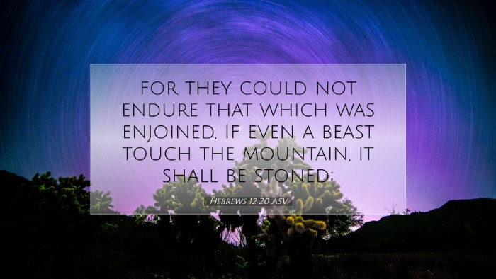 Picture 07 - Hebrews 12:20 ASV Desktop Wallpaper - for they could not endure that which was - Desktop Bible Verse Wallpaper