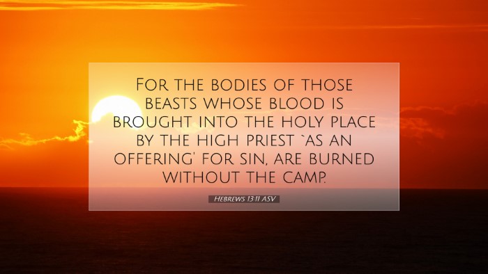 Picture 07 - Hebrews 13:11 ASV Desktop Wallpaper - For the bodies of those beasts whose blood is - Desktop Bible Verse Wallpaper