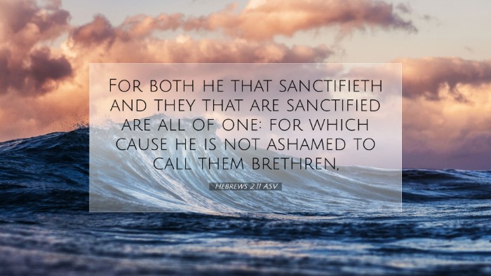 Picture 07 - Hebrews 2:11 ASV Desktop Wallpaper - For both he that sanctifieth and they that are - Desktop Bible Verse Wallpaper