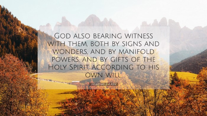 Picture 07 - Hebrews 2:4 ASV Desktop Wallpaper - God also bearing witness with them, both by signs - Desktop Bible Verse Wallpaper