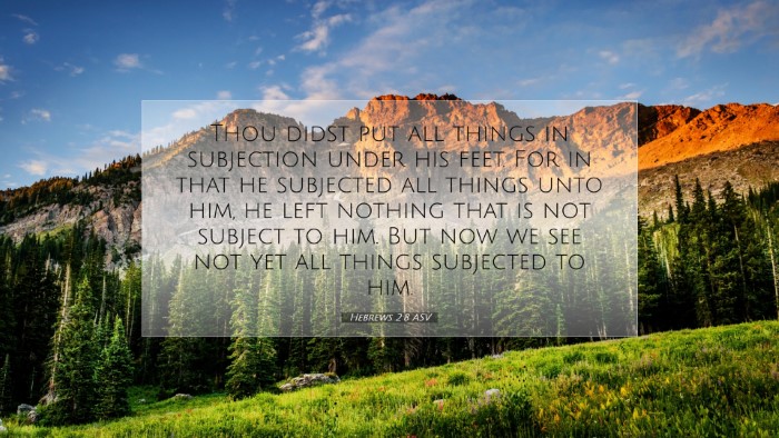 Picture 07 - Hebrews 2:8 ASV Desktop Wallpaper - Thou didst put all things in subjection under his - Desktop Bible Verse Wallpaper