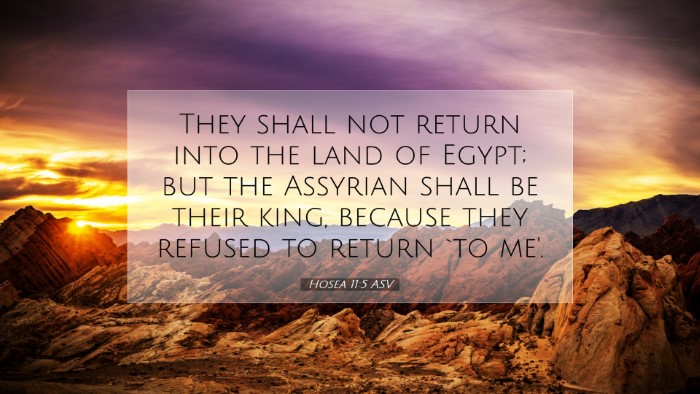 Picture 07 - Hosea 11:5 ASV Desktop Wallpaper - They shall not return into the land of Egypt; but - Desktop Bible Verse Wallpaper