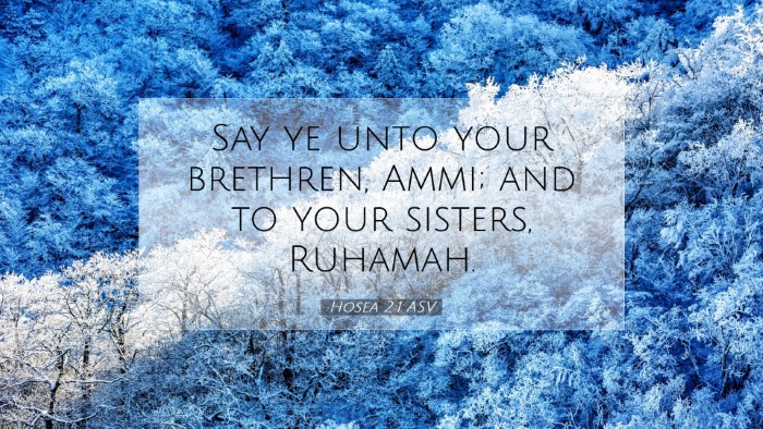 Picture 07 - Hosea 2:1 ASV Desktop Wallpaper - Say ye unto your brethren, Ammi; and to your - Desktop Bible Verse Wallpaper