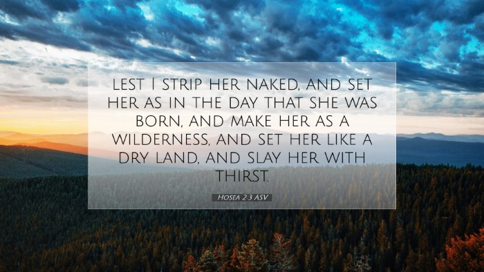 Picture 07 - Hosea 2:3 ASV Desktop Wallpaper - lest I strip her naked, and set her as in the day - Desktop Bible Verse Wallpaper