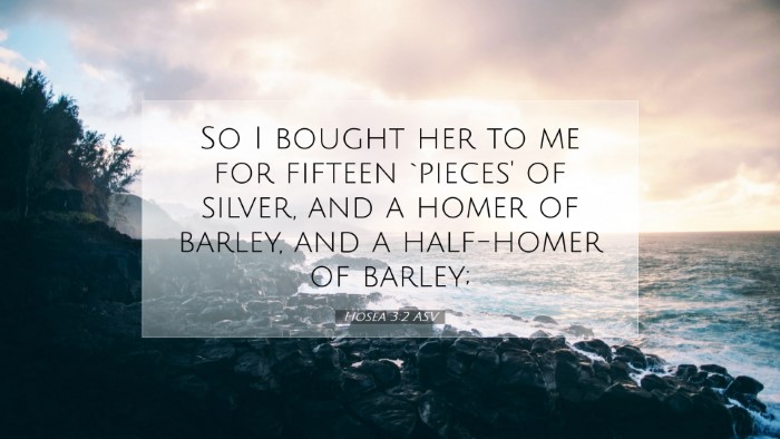 Picture 07 - Hosea 3:2 ASV Desktop Wallpaper - So I bought her to me for fifteen `pieces' of - Desktop Bible Verse Wallpaper