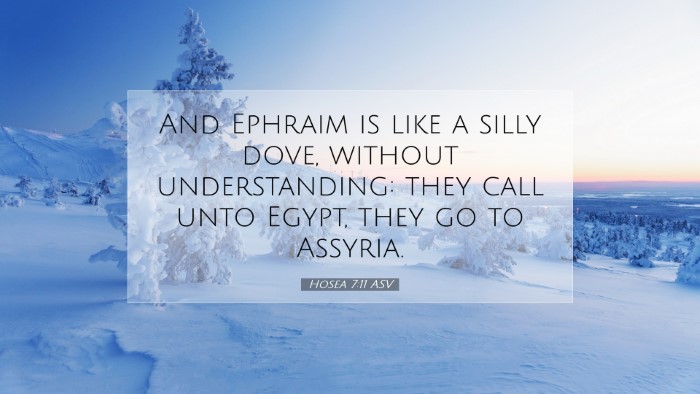 Picture 07 - Hosea 7:11 ASV Desktop Wallpaper - And Ephraim is like a silly dove, without - Desktop Bible Verse Wallpaper