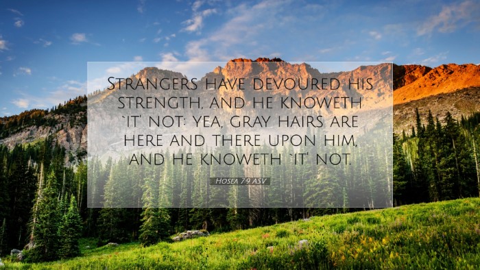 Picture 07 - Hosea 7:9 ASV Desktop Wallpaper - Strangers have devoured his strength, and he - Desktop Bible Verse Wallpaper