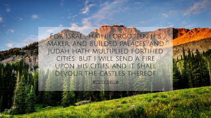 Picture 07 - Hosea 8:14 ASV Desktop Wallpaper - For Israel hath forgotten his Maker, and builded - Desktop Bible Verse Wallpaper