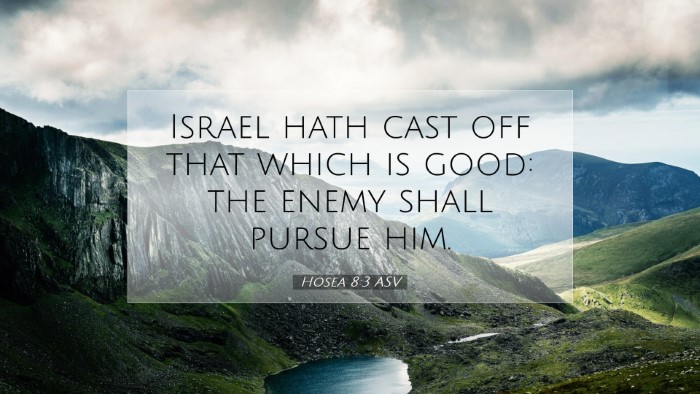 Picture 07 - Hosea 8:3 ASV Desktop Wallpaper - Israel hath cast off that which is good: the - Desktop Bible Verse Wallpaper
