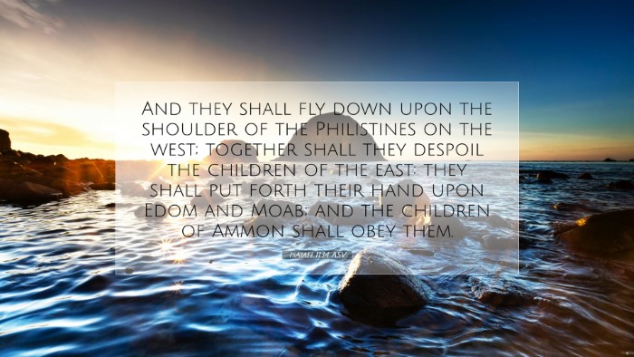 Picture 07 - Isaiah 11:14 ASV Desktop Wallpaper - And they shall fly down upon the shoulder of the - Desktop Bible Verse Wallpaper