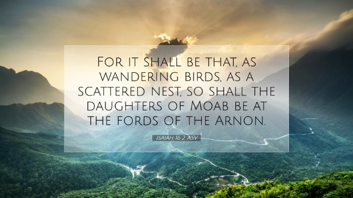 Picture 07 - Isaiah 16:2 ASV Desktop Wallpaper - For it shall be that, as wandering birds, as a - Desktop Bible Verse Wallpaper