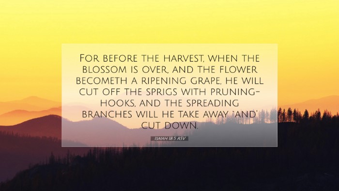 Picture 07 - Isaiah 18:5 ASV Desktop Wallpaper - For before the harvest, when the blossom is over, - Desktop Bible Verse Wallpaper