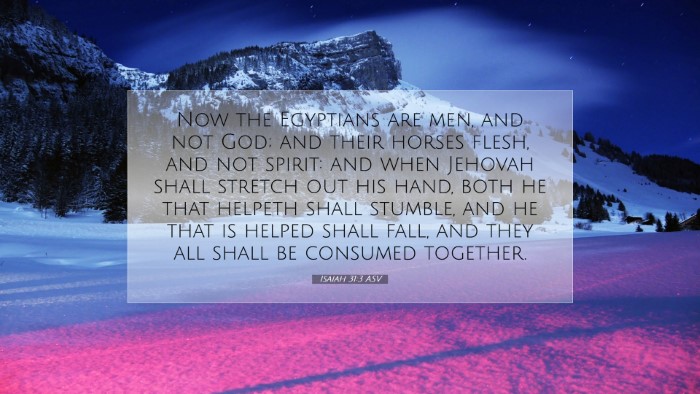 Picture 07 - Isaiah 31:3 ASV Desktop Wallpaper - Now the Egyptians are men, and not God; and their - Desktop Bible Verse Wallpaper