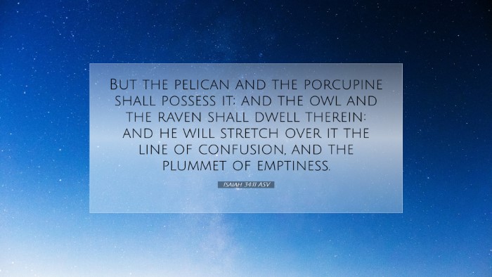 Picture 07 - Isaiah 34:11 ASV Desktop Wallpaper - But the pelican and the porcupine shall possess - Desktop Bible Verse Wallpaper