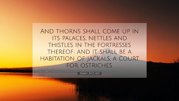 Picture 07 - Isaiah 34:13 ASV Desktop Wallpaper - And thorns shall come up in its palaces, nettles - Desktop Bible Verse Wallpaper