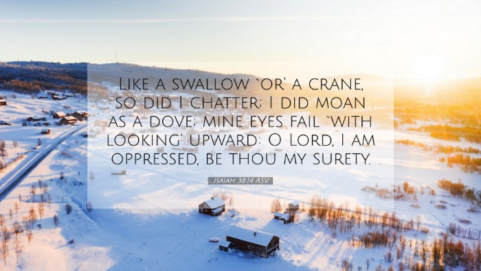 Picture 07 - Isaiah 38:14 ASV Desktop Wallpaper - Like a swallow `or' a crane, so did I chatter; I - Desktop Bible Verse Wallpaper