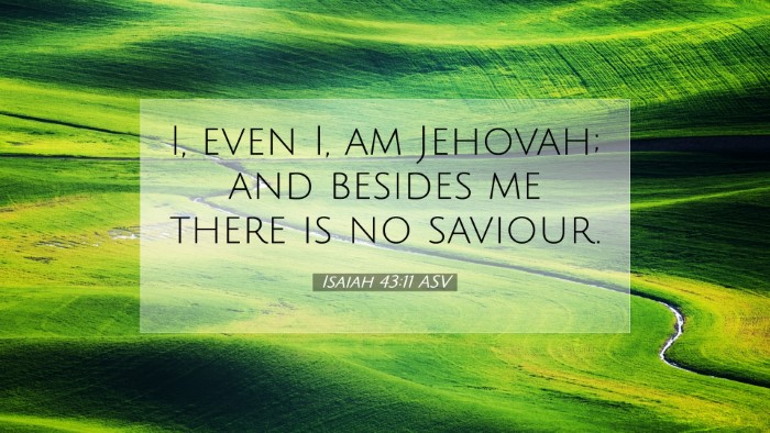 Picture 07 - Isaiah 43:11 ASV Desktop Wallpaper - I, even I, am Jehovah; and besides me there is no - Desktop Bible Verse Wallpaper