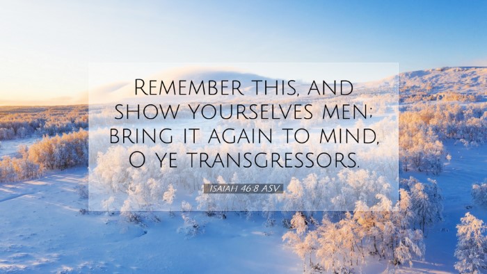 Picture 07 - Isaiah 46:8 ASV Desktop Wallpaper - Remember this, and show yourselves men; bring it - Desktop Bible Verse Wallpaper