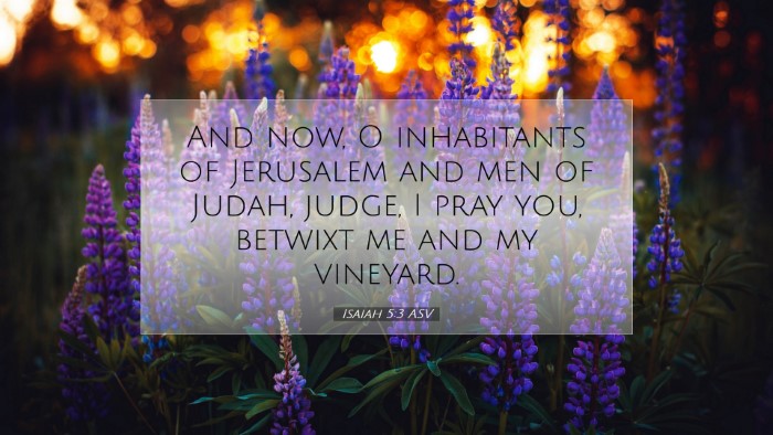 Picture 07 - Isaiah 5:3 ASV Desktop Wallpaper - And now, O inhabitants of Jerusalem and men of - Desktop Bible Verse Wallpaper