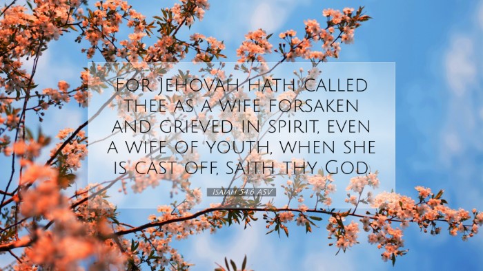 Picture 07 - Isaiah 54:6 ASV Desktop Wallpaper - For Jehovah hath called thee as a wife forsaken - Desktop Bible Verse Wallpaper