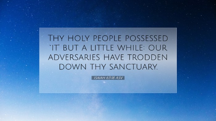 Picture 07 - Isaiah 63:18 ASV Desktop Wallpaper - Thy holy people possessed `it' but a little - Desktop Bible Verse Wallpaper
