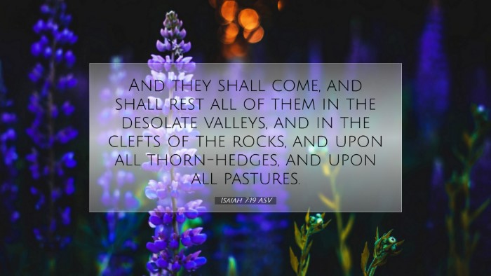 Picture 07 - Isaiah 7:19 ASV Desktop Wallpaper - And they shall come, and shall rest all of them - Desktop Bible Verse Wallpaper