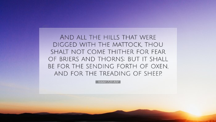 Picture 07 - Isaiah 7:25 ASV Desktop Wallpaper - And all the hills that were digged with the - Desktop Bible Verse Wallpaper