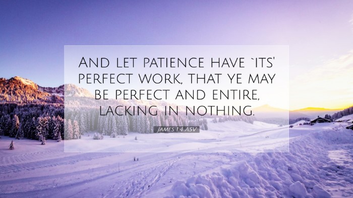 Picture 07 - James 1:4 ASV Desktop Wallpaper - And let patience have `its' perfect work, that ye - Desktop Bible Verse Wallpaper
