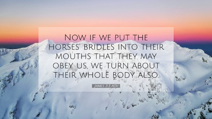 Picture 07 - James 3:3 ASV Desktop Wallpaper - Now if we put the horses' bridles into their - Desktop Bible Verse Wallpaper