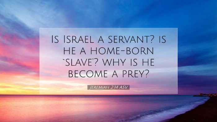 Picture 07 - Jeremiah 2:14 ASV Desktop Wallpaper - Is Israel a servant? is he a home-born `slave'? - Desktop Bible Verse Wallpaper