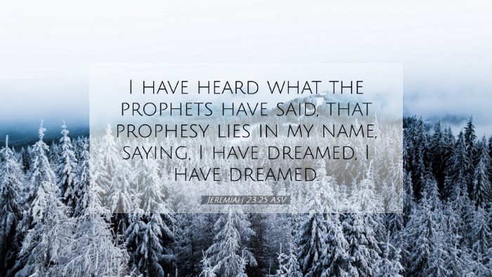 Picture 07 - Jeremiah 23:25 ASV Desktop Wallpaper - I have heard what the prophets have said, that - Desktop Bible Verse Wallpaper