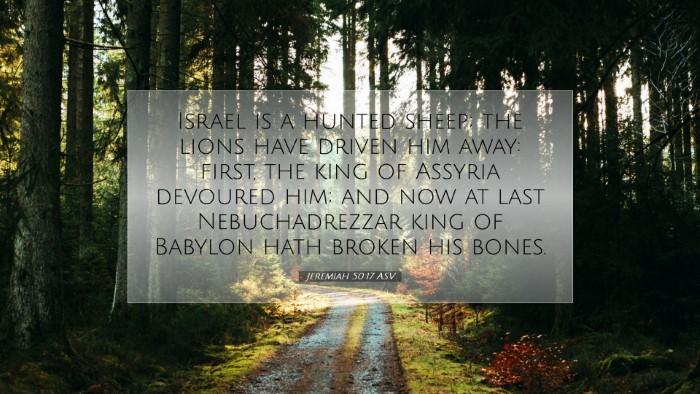 Picture 07 - Jeremiah 50:17 ASV Desktop Wallpaper - Israel is a hunted sheep; the lions have driven - Desktop Bible Verse Wallpaper