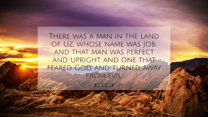 Picture 07 - Job 1:1 ASV Desktop Wallpaper - There was a man in the land of Uz, whose name was - Desktop Bible Verse Wallpaper