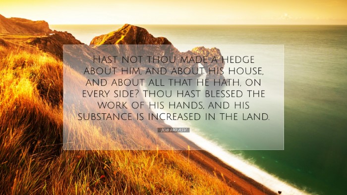 Picture 07 - Job 1:10 ASV Desktop Wallpaper - Hast not thou made a hedge about him, and about - Desktop Bible Verse Wallpaper