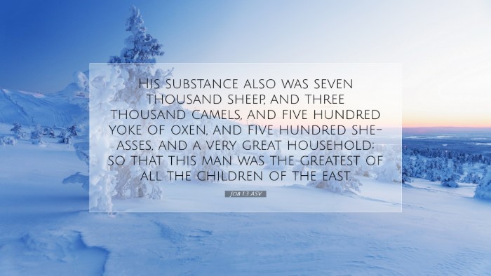 Picture 07 - Job 1:3 ASV Desktop Wallpaper - His substance also was seven thousand sheep, and - Desktop Bible Verse Wallpaper