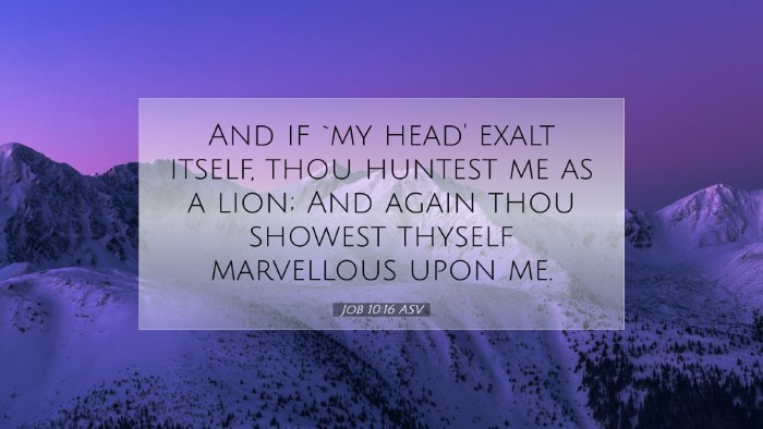 Picture 07 - Job 10:16 ASV Desktop Wallpaper - And if `my head' exalt itself, thou huntest me as - Desktop Bible Verse Wallpaper