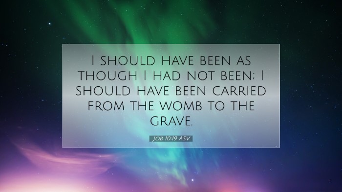 Picture 07 - Job 10:19 ASV Desktop Wallpaper - I should have been as though I had not been; I - Desktop Bible Verse Wallpaper