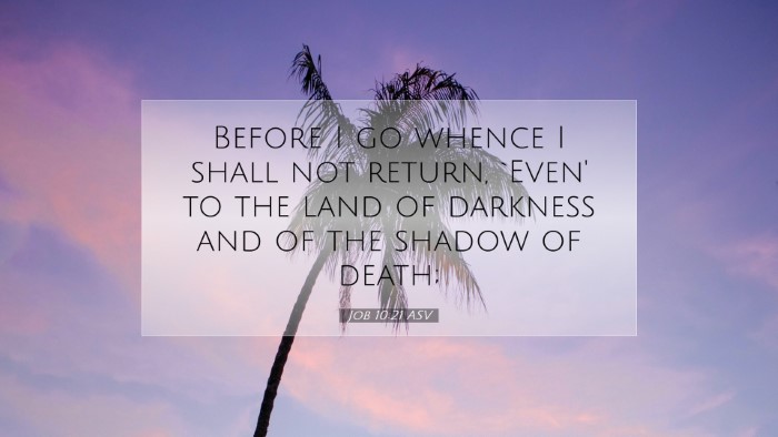 Picture 07 - Job 10:21 ASV Desktop Wallpaper - Before I go whence I shall not return, `Even' to - Desktop Bible Verse Wallpaper