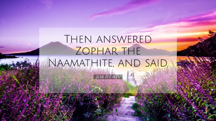 Picture 07 - Job 11:1 ASV Desktop Wallpaper - Then answered Zophar the Naamathite, and - Desktop Bible Verse Wallpaper
