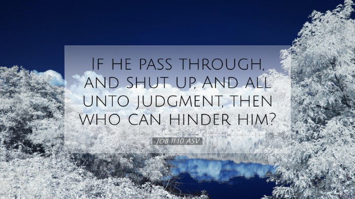 Picture 07 - Job 11:10 ASV Desktop Wallpaper - If he pass through, and shut up, And all unto - Desktop Bible Verse Wallpaper