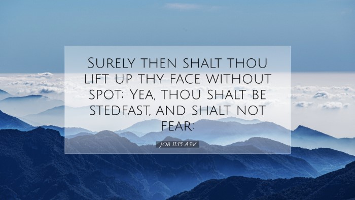 Picture 07 - Job 11:15 ASV Desktop Wallpaper - Surely then shalt thou lift up thy face without - Desktop Bible Verse Wallpaper