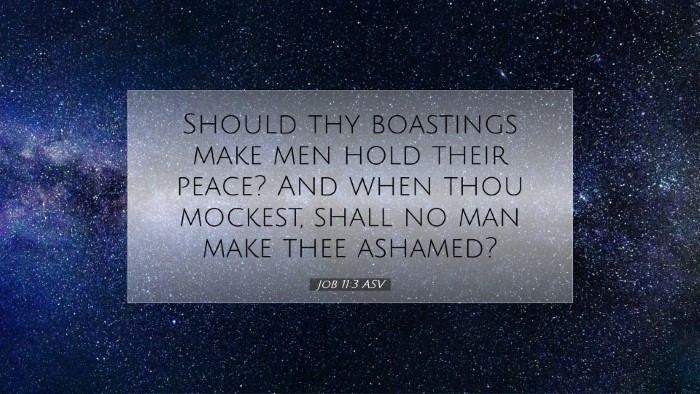 Picture 07 - Job 11:3 ASV Desktop Wallpaper - Should thy boastings make men hold their peace? - Desktop Bible Verse Wallpaper