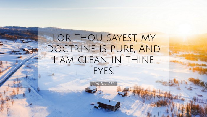 Picture 07 - Job 11:4 ASV Desktop Wallpaper - For thou sayest, My doctrine is pure, And I am - Desktop Bible Verse Wallpaper
