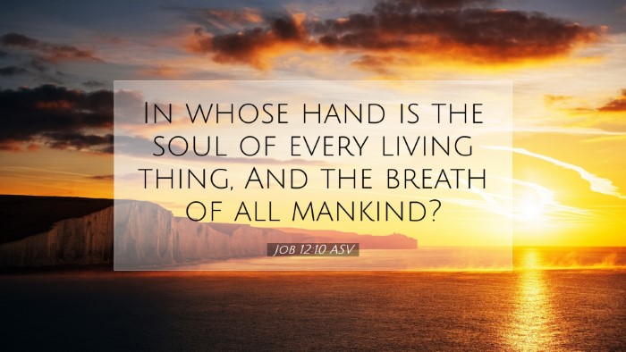 Picture 07 - Job 12:10 ASV Desktop Wallpaper - In whose hand is the soul of every living thing, - Desktop Bible Verse Wallpaper