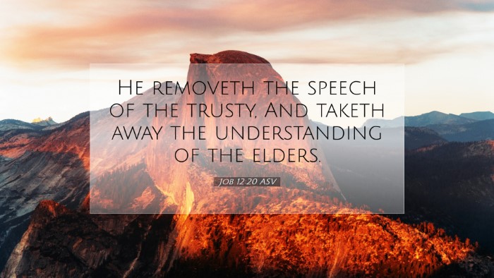 Picture 07 - Job 12:20 ASV Desktop Wallpaper - He removeth the speech of the trusty, And taketh - Desktop Bible Verse Wallpaper
