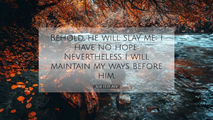 Picture 07 - Job 13:15 ASV Desktop Wallpaper - Behold, he will slay me; I have no hope: - Desktop Bible Verse Wallpaper
