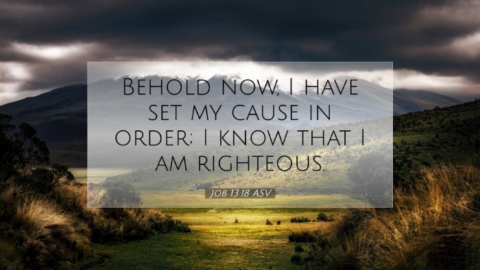 Picture 07 - Job 13:18 ASV Desktop Wallpaper - Behold now, I have set my cause in order; I know - Desktop Bible Verse Wallpaper
