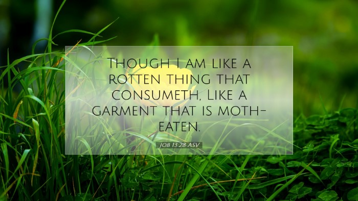 Picture 07 - Job 13:28 ASV Desktop Wallpaper - Though I am like a rotten thing that consumeth, - Desktop Bible Verse Wallpaper