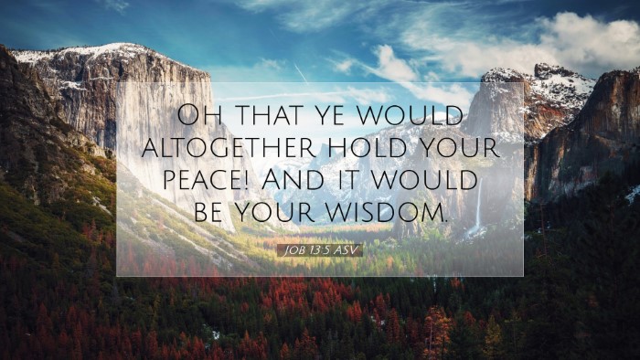 Picture 07 - Job 13:5 ASV Desktop Wallpaper - Oh that ye would altogether hold your peace! And - Desktop Bible Verse Wallpaper